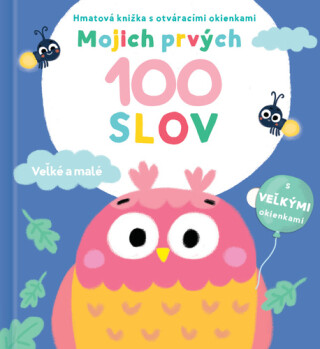 Mojich prvých 100 slov Veľké a malé - 