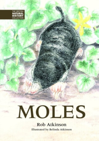 Moles - Rob Atkinson