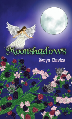 Moonshadows - Gwyn Davies