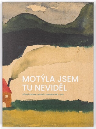 Motýla jsem tu neviděl - Anita Franková,Hana Povolná