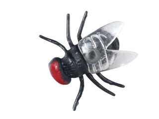 Moucha 1cm 24pcs - 