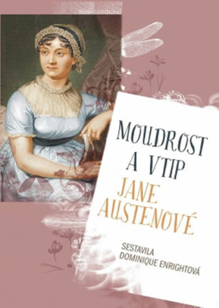 Moudrost a vtip Jane Austenové - Dominique Enrightová