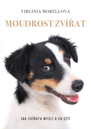 Moudrost zvířat - Virginia Morellová