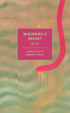 Mourning a Breast - Jennifer Feeley,Xi Xi