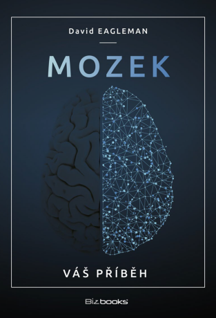 Mozek - Petr Bokůvka