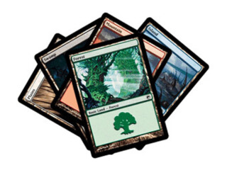 MTG: Land Station 2011 - 