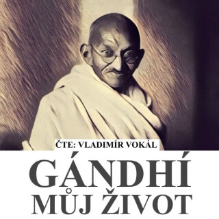 Můj život - Harry Pollak
