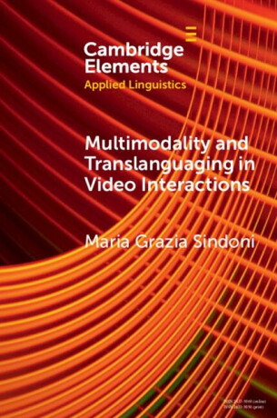 Multimodality and Translanguaging in Video Interactions - Maria Grazia  Sindoni
