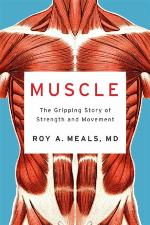 Muscle - Roy A.  Meals