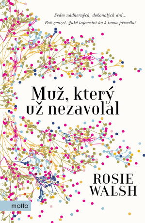 Muž, který už nezavolal - Rosie Walsh