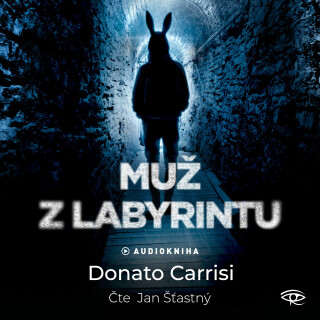 Muž z labyrintu - Donato Carrisi