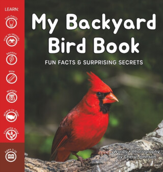 My Backyard Bird Book - Cheryl Johnson