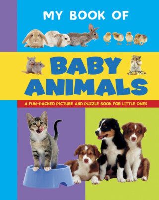My Book of Baby Animals - Armadillo