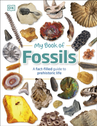My Book of Fossils - Dean R. Lomax,DK