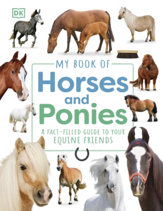 My Book of Horses and Ponies - DK