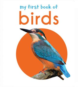 My First Book of Birds - 