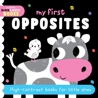 My First Opposites - 