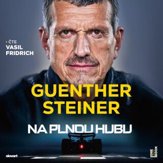 Na plnou hubu – Parádní desetiletí ve formuli 1 - Guenther Steiner
