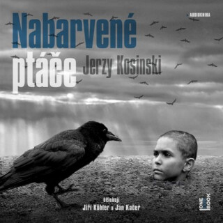 Nabarvené ptáče - Jerzy Kosiňski