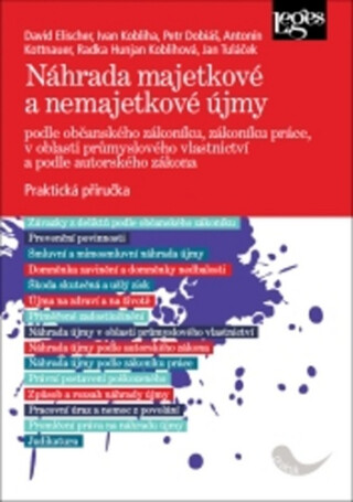 Náhrada majetkové a nemajetkové újmy podle občanského zákoníku, zákoníku práce, v oblasti průmyslového vlastnictví a podle autorského zákona - Praktická příručka - David Elischer