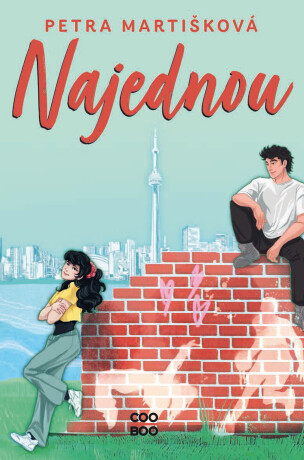 Najednou - Petra Martišková,Barbora Srp Žižková