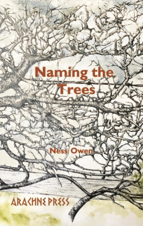 Naming the Trees - Ness Owen