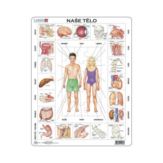 NAŠE TĚLO 35 d. EDU Puzzle - neuveden