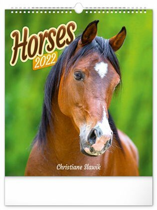 Nástěnný kalendář Horses 2022 - neuveden