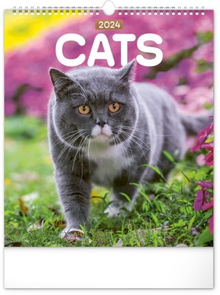 Kalendář 2024 nástěnný: Kočky, 30 × 34 cm - neuveden