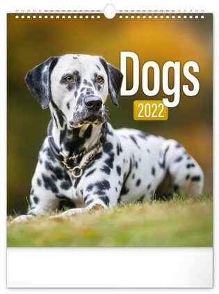 Kalendář 2022 nástěnný: Psi, 30 × 34 cm - neuveden