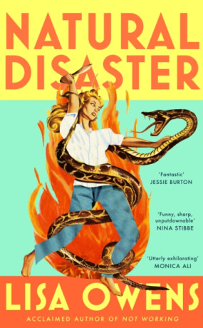 Natural Disaster - Lisa Owens