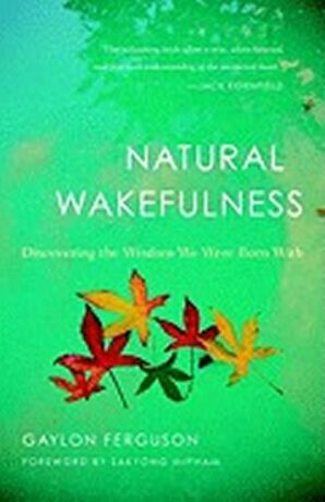 Natural Wakefulness - Gaylon Ferguson