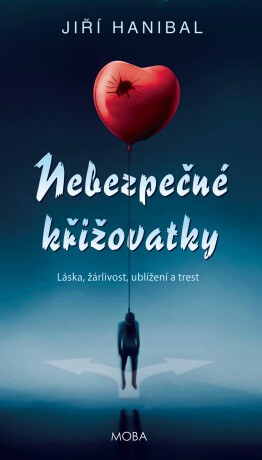 Nebezpečné křižovatky - Jiří Hanibal