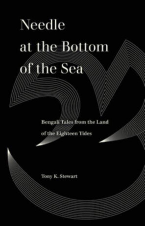 Needle at the Bottom of the Sea - Tony K. Stewart