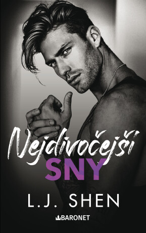Nejdivočejší sny - L. J. Shen