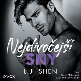 Nejdivočejší sny - L.J. Shen