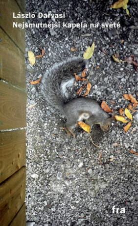 Nejsmutnější kapela na světě - Laszló Darvasi