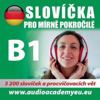 Němčina - slovíčka B1 - kolektiv autorů