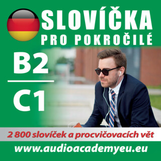Němčina - slovíčka B2/C1 - kolektiv autorů