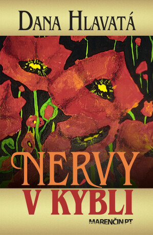 Nervy v kýbli - Dana Hlavatá