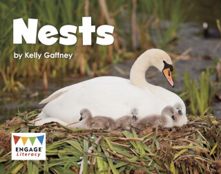 Nests - Kelly Gaffney