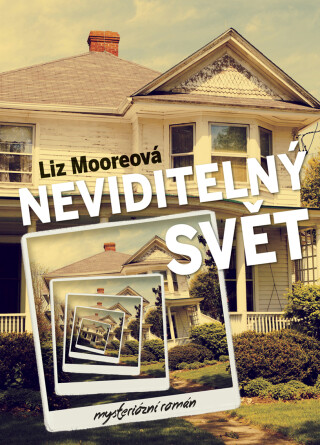 Neviditelný svět - Liz Moore