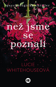 Než jsme se poznali - Lucie Whitehouseová