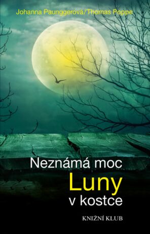 Neznámá moc Luny v kostce - Johanna Paunggerová,Thomas Poppe