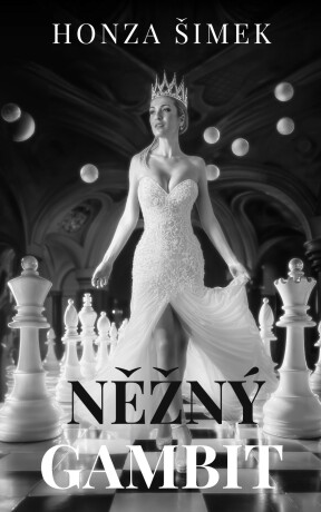 Něžný gambit - Honza Šimek