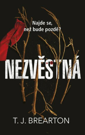 Nezvěstná - T. J. Brearton