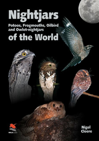 Nightjars, Potoos, Frogmouths, Oilbird, and Owletâ€“nightjars of the World - Nigel Cleere