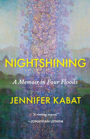 Nightshining - Jennifer Kabat