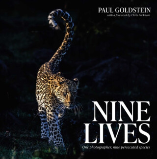 Nine Lives - 