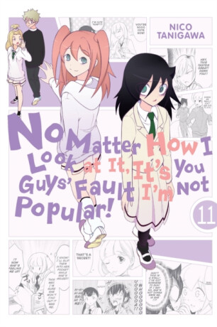 No Matter How I Look at It, It's You Guys' Fault I'm Not Popular!, Vol. 11 - Tanigawa Nico,Bianca Pistillo,Karie Shipley